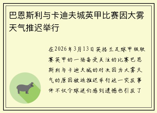巴恩斯利与卡迪夫城英甲比赛因大雾天气推迟举行